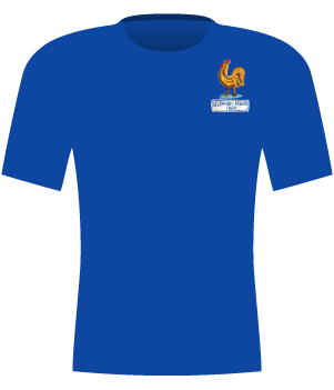 Niebieska koszulka reprezentacji Francji z 1967 roku.