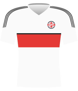 Koszulka reprezentacji Gruzji z 2018 roku.