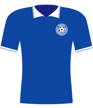 Koszulka Estonii z 2017 roku.