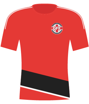 Koszulka Gruzji z 2020 roku.