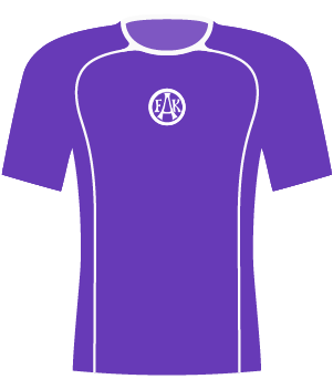 Koszulka Austria Wiedeń (2004).