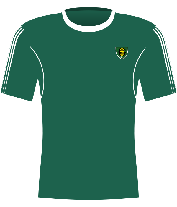 Koszulka GKS Katowice (2015/2016)