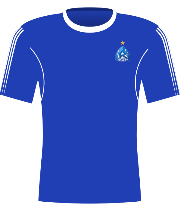 Koszulka Ruch Chorzów (2015/2016).