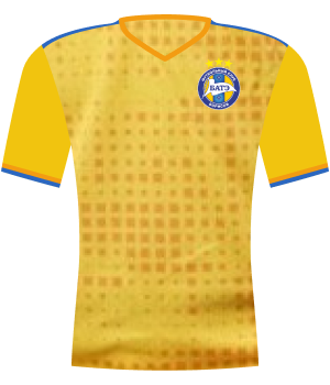 Koszulka BATE Borysów (2019)
