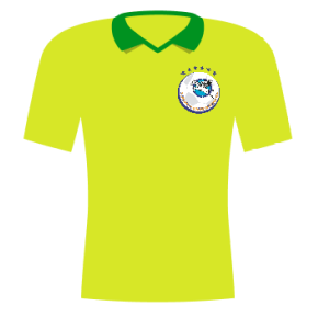 Koszulka Seongnam FC (2002)