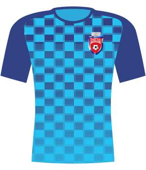Koszulka FC Botoşani (2015).