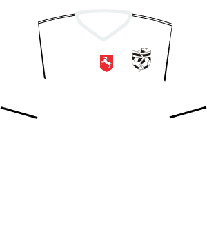 Koszulka Medyk Konin (2014)