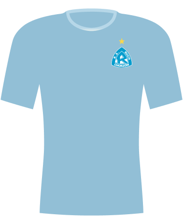 Koszulka Ruch Chorzów 2022/2023
