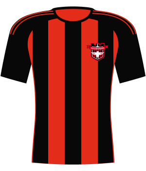 Koszulka Gaziantepspor Kulübü (2011)
