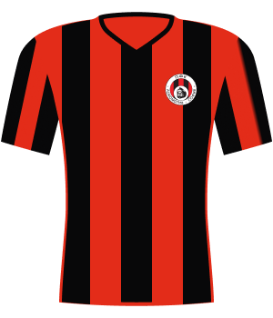 Koszulka Lokomotiw Sofia (2011).