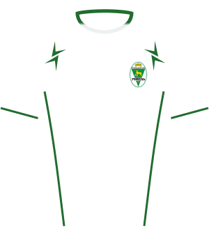 Koszulka FK Homel (2008)