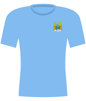 Koszulka Manchester City (2010)