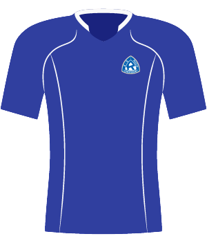 koszulka Ruch Chorzów (2012).
