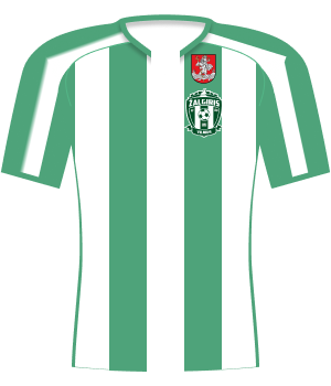 Koszulka Žalgiris Wilno (2013)