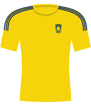 Koszulka Brøndby Kopenhaga (2009)