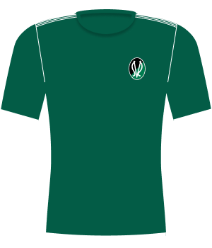 Koszulka SV Ried (2012)