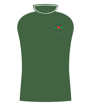 Koszulka TNS Llansantffraid 2001