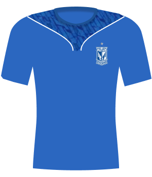 Koszulka Lech Poznań (2009)