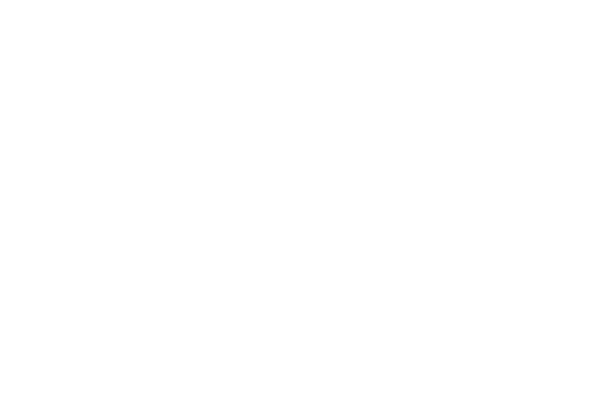 logo sts