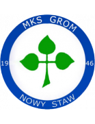 Grom Nowy Staw herb