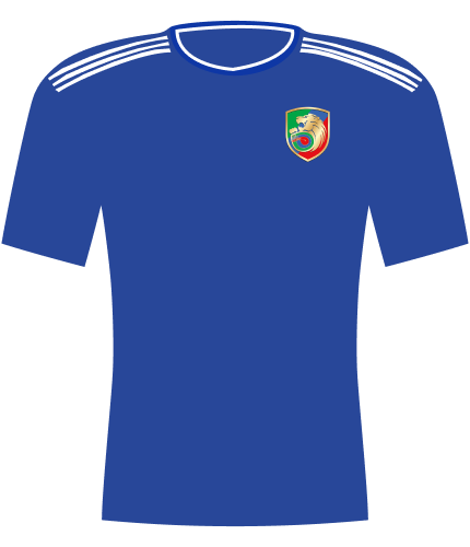 Koszulka Miedź Legnica 2024/2025