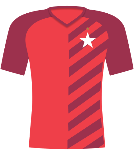 Koszulka Wisła Kraków 2019/2020