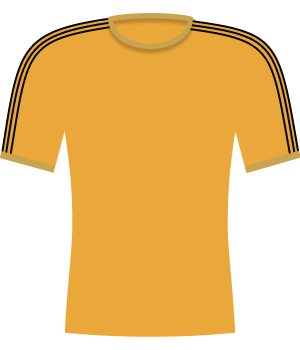 Koszulka FC Nantes (1974)