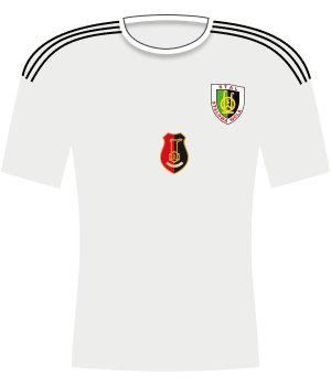 Koszulka Stal Stalowa Wola (2024/2025)