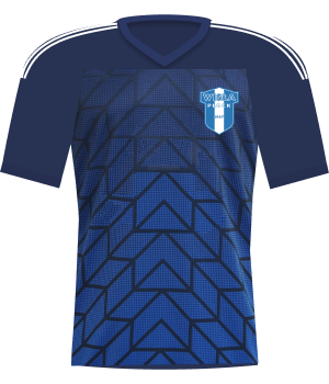Koszulka Wisła Płock (2024/2025)