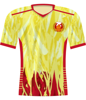 Koszulka Znicz Pruszków 2024/2025