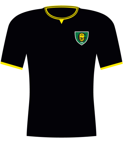 Koszulka GKS Katowice 2025/2026