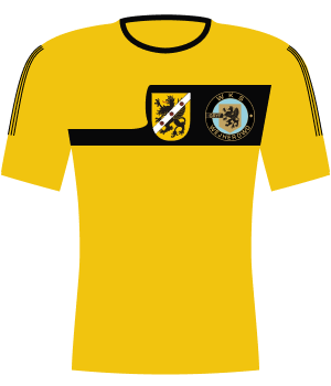 Koszulka Gryf Wejherowo (2012)