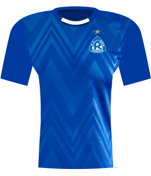 Koszulka Ruch Chorzów (2024/2025)