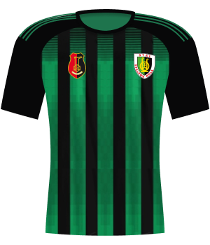 Koszulka Stal Stalowa Wola (2024/2025)