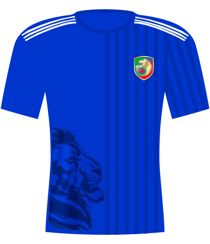 Koszulka Miedź Legnica 2025/2026