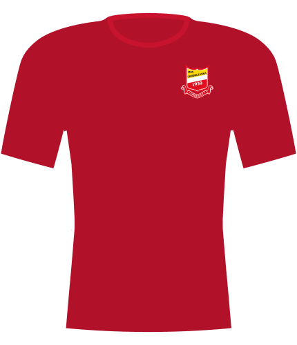Koszulka Chojniczanka Chojnice 2025/2026
