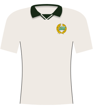 Koszulka Hammarby IF (2026)