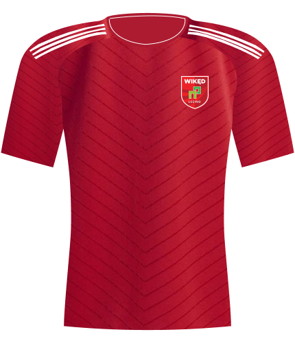 Koszulka Wikęd Luzino 2026/2027