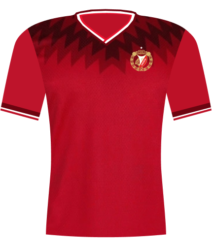 Koszulka Widzew Łódź 2025/2026