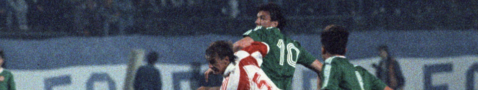 polska - irlandia 1991