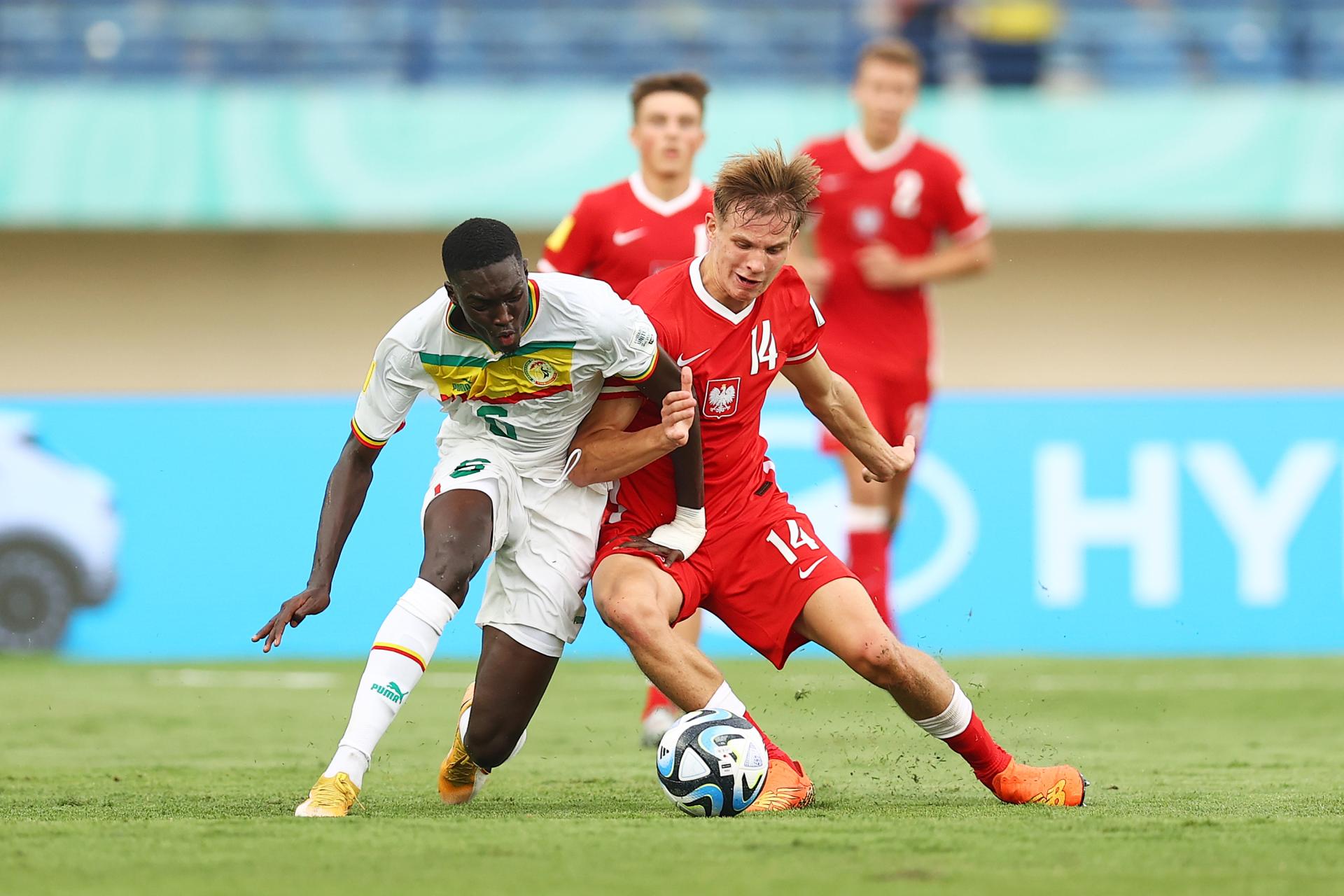 Senegal - Polska 4:1, 14.11.2023