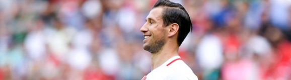 krychowiak slider 