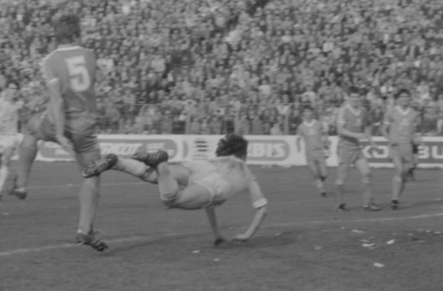 Widzew Łódź - Aarhus GF 2:0 (19.09.1984)