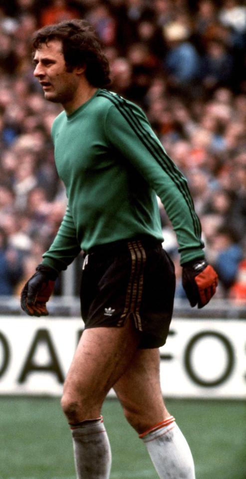 Jan Tomaszewski (do meczu Węgry - Polska 2:1, 13.04.1977)