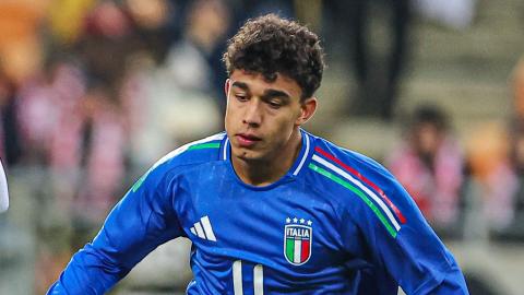 Dominic Vavassori