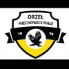 ORZEŁ MIECHOWICE