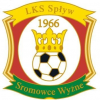 SPŁYW SROMOWCE WYŻNE