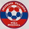WISŁA BRZEŹNICA