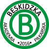 BESKIDZKA AKADEMIA PIŁKARSKA ROPA