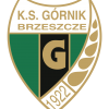 GÓRNIK BRZESZCZE